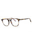 055 - Coloured havana/clear/blue-light block lens