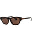 300273 - Dark havana/Brown