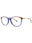 C02 - BLUE BROWN - DEMO