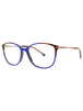 C02 - BLUE BROWN - DEMO