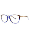 C02 - BLUE BROWN - DEMO