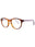 053M - BROWN/PURPLE - DEMO