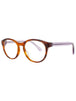 053M - BROWN/PURPLE - DEMO