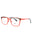 8496 - TRANSPARENT GREY TORTOISE - DEMO