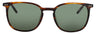 4801 - MATTE BROWN - DARK GREEN