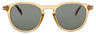 GYG - YELLOW HAVANA BLACK WHITE - GREEN TINT