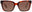 0086/HA - HAVANA - BROWN GRADIENT