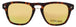 TERTNY - TORTOISE / CLEAR - BLUE TINT