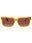 AMSKY - AMBER FEATHER - GRADIENT BROWN POLARIZED