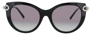 TIFFANY & CO TF4232  Sunglasses
