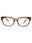 17O1O1 - TRANSPARENT BROWN - DEMO
