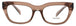 17O1O1 - TRANSPARENT BROWN - DEMO