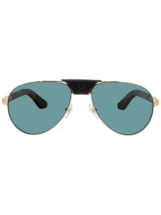 Cartier Ct0495 S Sunglasses