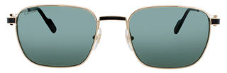 Cartier Ct0497 S Sunglasses