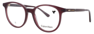 Calvin Klein Ck24543 Eyeglasses-Beverly Hills Eyewear