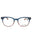 539 - BLUE / BROWN - DEMO
