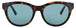 235 - HAVANA - GREEN TINT