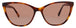 214 - HAVANA - BROWN