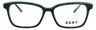 315 - TEAL TORTOISE - DEMO