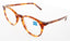 243 - HONEY TORTOISE - DEMO