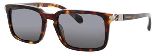 Salvatore Ferragamo Sf1110 S Sunglasses