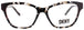 010 - BLACK TORTOISE/PLUM - DEMO