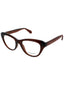 232 - TRANSPARENT BROWN - DEMO