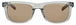 004 - GREY - BROWN TINT