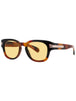 003 - BROWN - BROWN