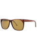 C - WINE - GOLD POLARIZED