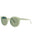 E - GREEN - GREEN POLARIZED