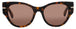 PBTRT/BRN - PEANUT BUTTLER TORTOISE - BROWN