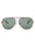 DTRT/GRN - DARK TORTOISE / GOLD - GREEN TINT