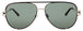DTRT/GRN - DARK TORTOISE / GOLD - GREEN TINT