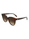 20355 - Havana Havana Brown