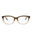 21181 - Brown Brown Transparent