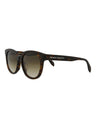 20355 - Havana Havana Brown