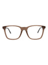 20976 - Brown Silver Transparent