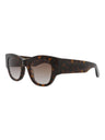 20355 - Havana Havana Brown