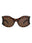 20355 - Havana Havana Brown