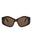 20355 - Havana Havana Brown