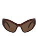 20355 - Havana Havana Brown