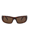 20355 - Havana Havana Brown