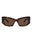 20355 - Havana Havana Brown