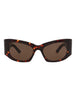20355 - Havana Havana Brown
