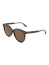 20924 - Havana Havana Brown
