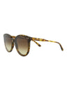 20355 - Havana Havana Brown
