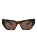 20355 - Havana Havana Brown