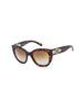 Dark Havana / Brown Gradient Polarized