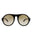 20355 - Havana Havana Brown